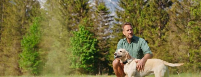 A man training his dog outdoors