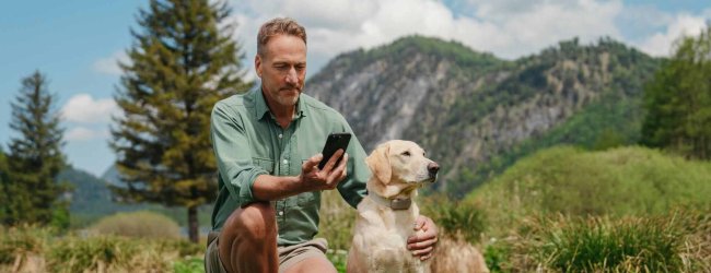 Ein Mann, der sein Handy neben einem Hund überprüft, der einen Tractive GPS & Health Tracker trägt.