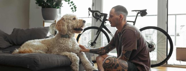 A man preparing to leave his dog home alone