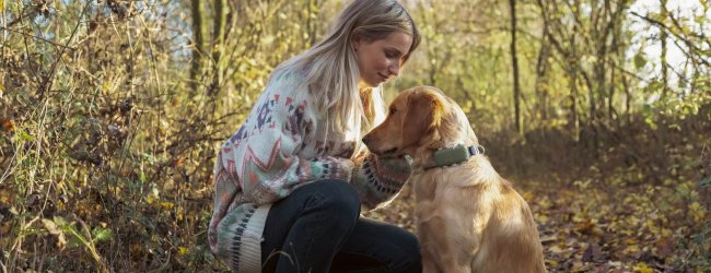 woman crouching down to pet a dog wearing a GPS tracker in the forest