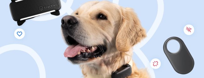 Infographic van Tractive: Samsung SmartTag vs. Tractive GPS Smart Tracker voor honden en katten