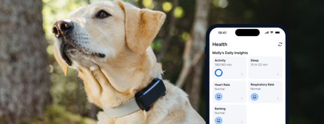 A dog's Health Monitoring data on the Tractive mobile app