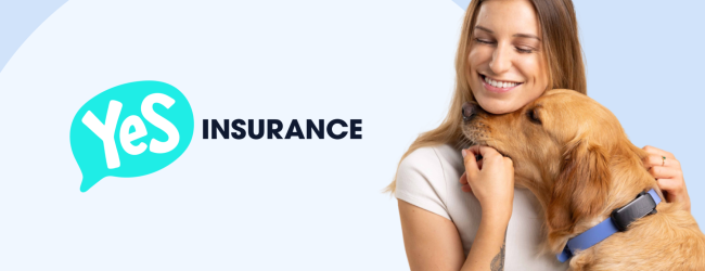 Pet with owner and tracker and Yes Insurance logo