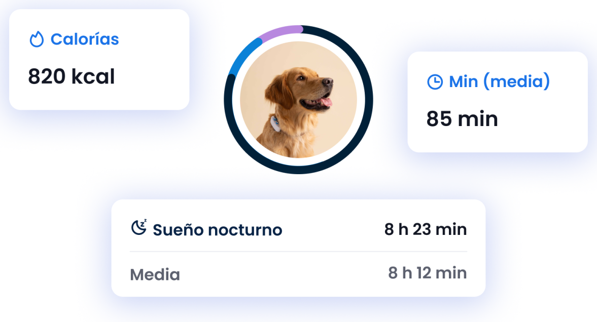 SEGUIMIENTO DEL SUEÑO Y LA ACTIVIDAD