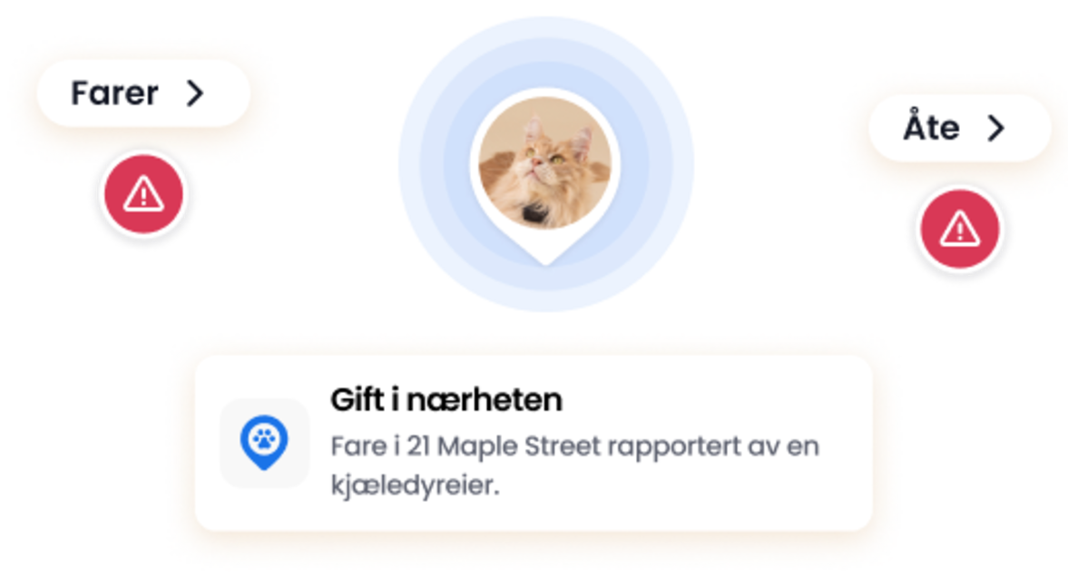 Funksjon for farerapporter